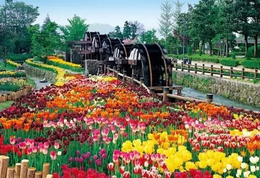 450 небольших произведений, сертифицированный мастер-шедевр, пять водяных колес и цветущий парк Фудзи - (26x38см)