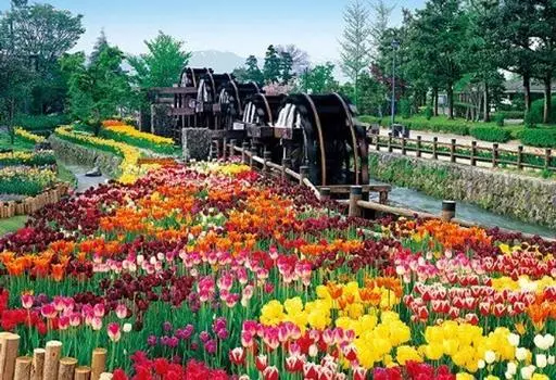 450 Small Piece Master Certification Masterpiece Five Waterwheels and Flower Blooming Park Fuji - (26x38cm)