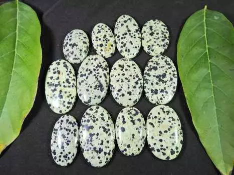 455Cts. AAA натуральный далматин овальный кабошон драгоценный камень россыпью 13 шт. лот 32-40 мм RQ-1452