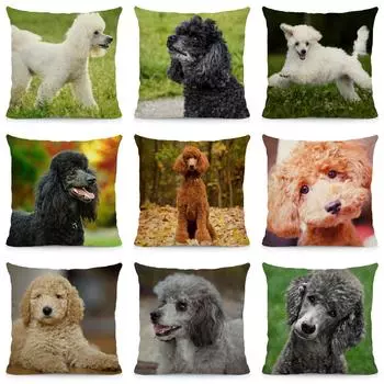 45x45 см наволочка для собаки-пуделя, чехол для подушки с изображением животного, украшение для гостиной, квадратная наволочка из полиэстера 40X40CM