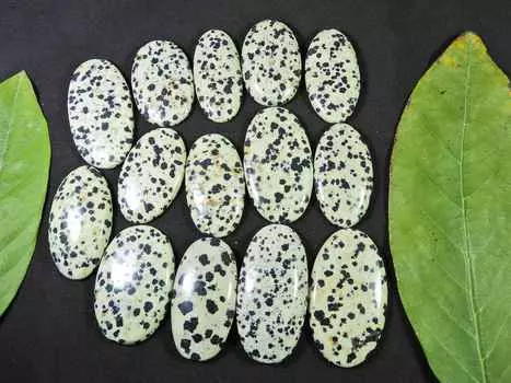 466Cts. AAA натуральный далматин овальный кабошон россыпью драгоценный камень 14 шт. лот 35-39 мм RQ-1469