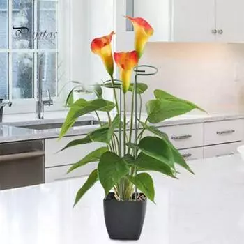 4/8 шт. опорных колышков для растений, 24/36-дюймовые садовые колышки, съемная опорная рама для растений, роз, томатов, пионов 4pcs A