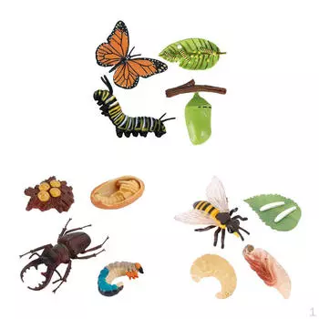 4 этапа жизненного цикла фигурка модель игровой набор дети ребенок обучение воображение игрушки учебные пособия