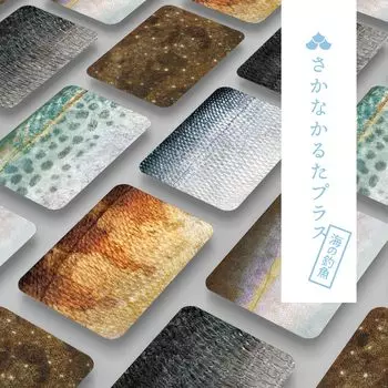 4-е издание Fish Karuta Plus Sea Fish Edition набор Gamott Lab Karuta Карточная игра, в которую можно играть в ванне Весы Chiba Печать Подарок на день рождения детям