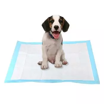 4 размера супер впитывающие тренировочные пеленки для кошек и собак товары для животных подгузник для домашних животных одноразовый здоровый чистый влажный коврик M