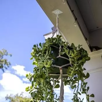 4 шт. бесследных крючков, нержавеющие, устойчивые к коррозии, не требуют сверления, прочное сцепление, легко устанавливаются, прочные несущие потолочные крючки 4pcs A