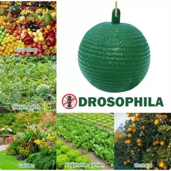 4 шт./компл., подвесная ловушка для мух, мяч, фруктовая ловушка для мух, липкая ловушка для мух, уличная одноразовая оса, пчела, борьба с вредителями 4pcs зелёный