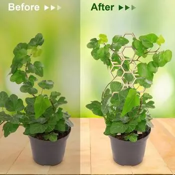 4 шт./компл., растения, решетка, соты, твердая древесина, комнатный цветочный горшок, растения, восхождение на лозу, ветка плюща, опора для листьев, вертикальная стойка, рама, садовые принадлежности 4pcs