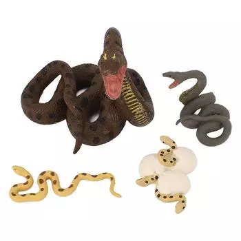 4 шт., модель цикла роста змеи, игрушки, реалистичная образовательная игра, имитация статуи змеи, скульптура для