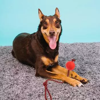 4 шт., мяч для собак, мяч для собак на веревке, прочные эластичные твердые резиновые шарики, интерактивные резиновые шарики, жевательные игрушки для маленького и среднего размера армия зеленый