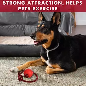 4 шт., мяч для собак, мяч для собак на веревке, прочные эластичные твердые резиновые шарики, интерактивные резиновые шарики, жевательные игрушки для маленького и среднего размера
