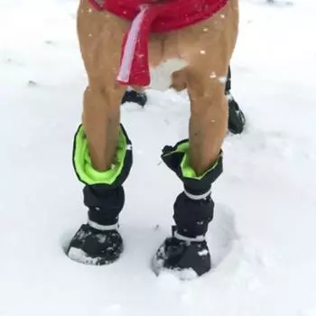 4 шт. обувь для собак, теплая, водонепроницаемая, противоскользящая, удобная зимняя обувь для собак на открытом воздухе S синий