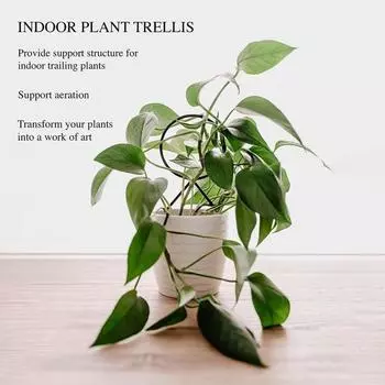 4 шт. решетка для восхождения растений, универсальная хорошая поддержка, легкая металлическая опора для комнатных растений, бесплатная лоза для сада зелёный