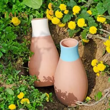 4 шт. шарики для полива растений, самополивные шипы, автоматические горшки для полива, система полива растений, шипы для полива с медленным выпуском 4pcs