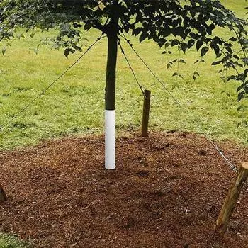 4 шт. широко используются саженцы защита растений устойчивая к разрывам удобная предотвращение укусов животных