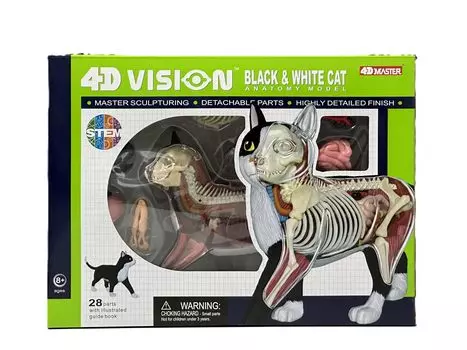 4D VISION 622004 Кот и анатомическая модель Fame Master 4D master Обучающая игрушка STEM (Черно-белый)