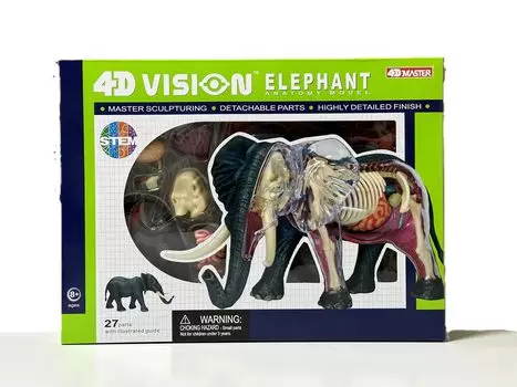 4D VISION 622037 Модель анатомии слона Fame Master 4D master Обучающая игрушка STEM