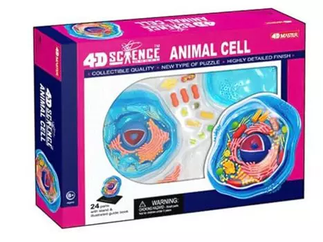 4D Vision Animal Cell Model Science Series 3D Puzzle 4D Vision science model 624001 Animal Cell Fame Master 4D master Educational Toy STEM