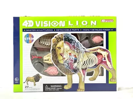 4D Vision Модель анатомии льва 4D VISION 622036 Модель анатомии льва Fame Master 4D master Обучающая игрушка STEM