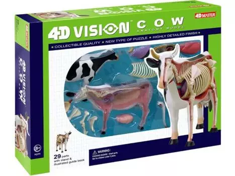 4D VISION Модель анатомии молочной коровы 4D VISION 622021 Модель анатомии коровы Fame Master 4D master Обучающая игрушка STEM