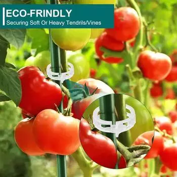 500/50 шт. Пластиковые зажимы для поддержки растений, многоразовые инструменты для защиты виноградной лозы, прививки, крепления для садовых принадлежностей для томатов и овощей 50PCS прозрачный