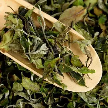 500 г белого чая Юньнань, ранняя весна, древний белый чай Фудин, процесс белого чая