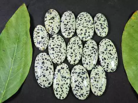 500 карат. AAA натуральный далматин овальный кабошон россыпью драгоценный камень 13 шт. лот 34-42 мм RQ-1472