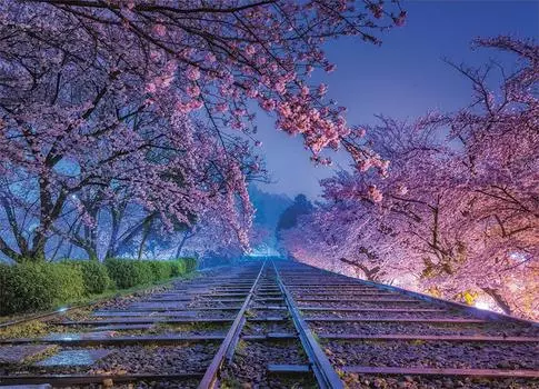 500 Piece Jigsaw Puzzle KAGAYA Dream Orbit (Kyoto) [Glowing Puzzle] (38x53cm)