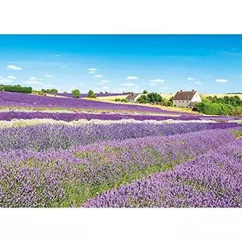500 Piece Jigsaw Puzzle Lavender Field Wind Cotswolds - - (38x53cm)