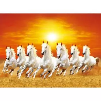 500 piece jigsaw puzzle - sprint, popular Korean puzzle