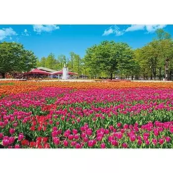 Пазл из 500 деталей Tonami Tulip Park x (38 53см)
