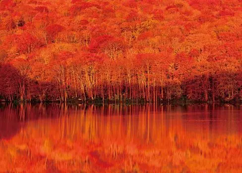 500 piece jigsaw puzzle Tsutanuma in autumn Aomori - (38x53cm)