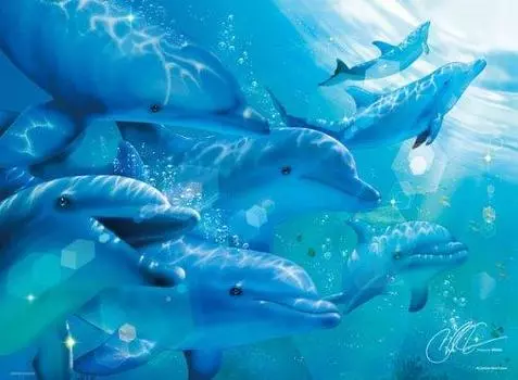 500 pieces crystal chorus 45-934