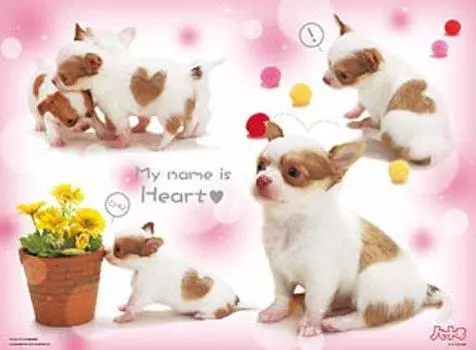 500 pieces I brought a lot of happiness 65-202