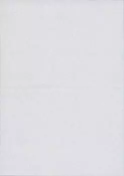500 sheets of A5 high quality 55kg paper sides of A5 blank 2-part micro-perforated (2 paper)