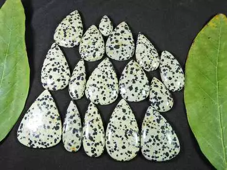 506Cts. AAA Natural Dalmation pear Cabochon Loose Gemstone 16Pcs Lot 19-41MM RQ-1470
