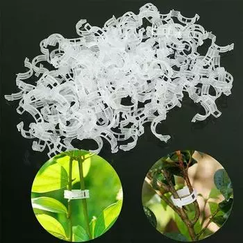 50/100/200pc Plant Clips Supports Reusable Plastic Connects Fixing Vine Tomato Stem Grafting Vegetable Plants Orchard and Garden