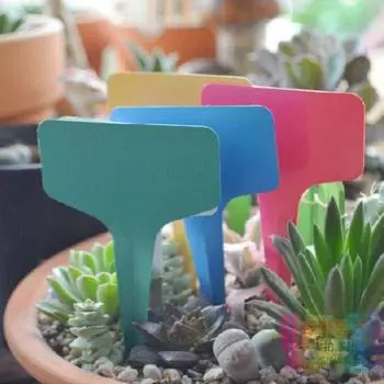 50/100 шт. Белый пластик ПВХ растения Т-образные бирки маркеры питомник садовые этикетки лотки для рассады горшки украшения 6x10 см