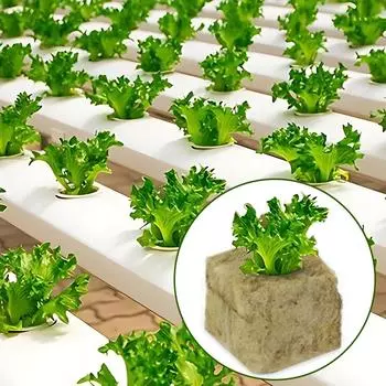 50-300 шт. кубики для выращивания из каменной ваты, гидропонные кубики для выращивания рассады, субстрат для рассады, посеянная губка, садовые инструменты