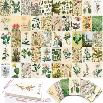 50 флоры и фауны настенные открытки фон украшение стены общежития ретро цветочные открытки теплые сердечные сообщения открытки T01041443-Wall Card - Animals and Plants 50