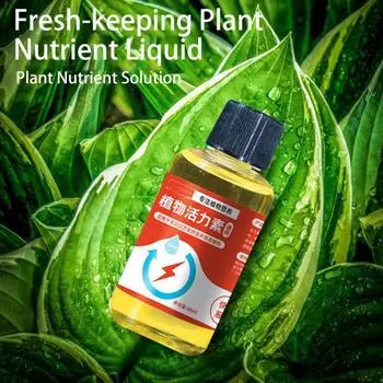 50 мл питательные вещества для растений, способствующие прорастанию, быстрому цветению, быстрому укоренению растений, питательный раствор, добавка, садовый инструмент 50ML