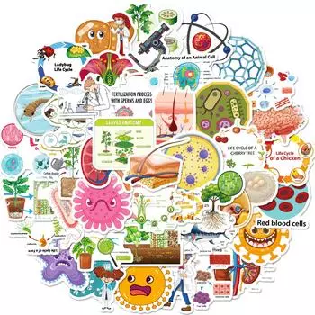 50 Мультяшных Био Наклеек Милые Наклейки для Урока Биологии Детские Канцелярские Товары Тетрадь Стакан для Воды Сделай Сам Водонепроницаемая Наклейка