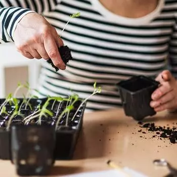 50 ячеек поддоны для рассады пластиковые садовые поддоны для проращивания черный контейнер для рассады садовые принадлежности для овощей и цветов чёрный