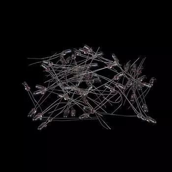 50 шт., 3 мм, 12 В, миниатюрная неоновая индикаторная лампа Эдисона, лампа накаливания