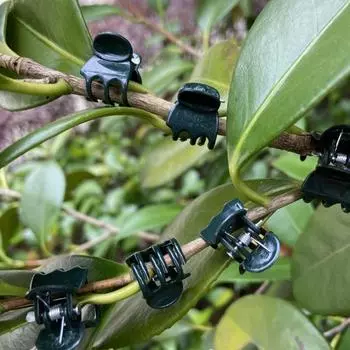 50 шт. 6-лапчатые темно-зеленые зажимы для растений, орхидеи, цветы, опорный зажим, вьющийся стебель, зажим, связанный пучок, ветка, домашний садовый инструмент зелёный