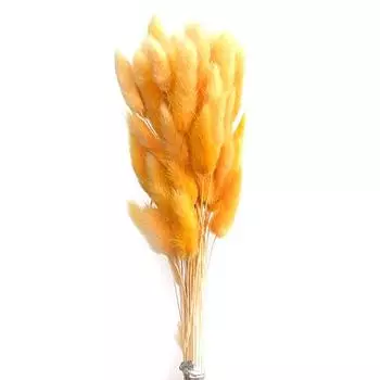 50 шт., букет из сухоцветов с изображением кролика и хвоста кролика, декор для свадебной вечеринки, пушистые пампасы, рождественская цветочная композиция своими руками A8