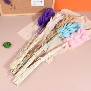 50 шт., букет из сухоцветов с изображением кролика и хвоста кролика, декор для свадебной вечеринки, пушистые пампасы, рождественская цветочная композиция своими руками A8