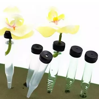 50 шт. держатель для цветочных стеблей, контейнер для свежего питания растений 50PCS
