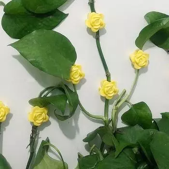 50 шт. держатель для стебля растения в форме розы настенный держатель для вьющихся растений настенный розовый