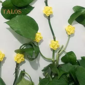 50 шт. держателей для стеблей растений в форме розы, настенные держатели для вьющихся растений, многоразовые зажимы для фиксации лозы для комнатных и уличных растений розовый